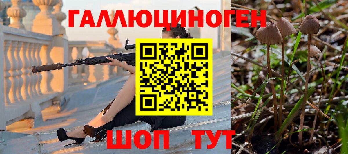 Галлюциногенные грибы GOLDEN TEACHER  Вход с VPN  Благодарный 
